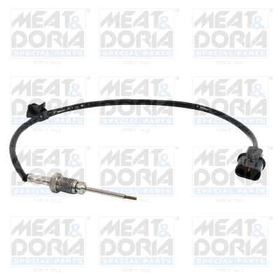 Sensor, exhaust gas temperature